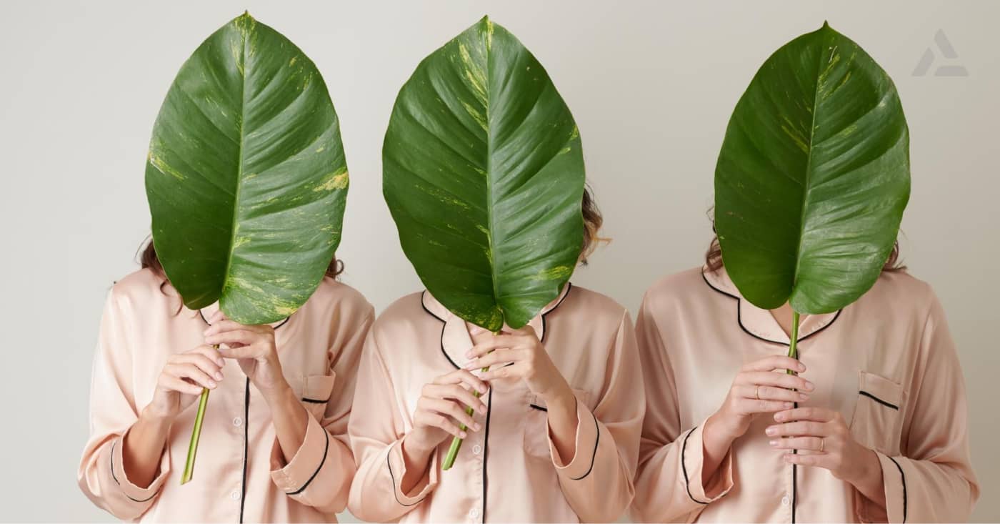 Three people in sustainable fashion pink shirts holding large green leaves in front of their faces against a neutral background.
