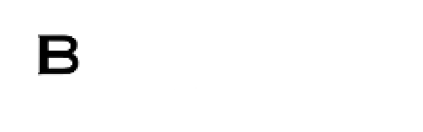 The image showcases the Burlington Medical logo with a shield emblem featuring the letter 'B' in the center, accompanied by the text "Burlington Medical" in bold, uppercase font. This new design is part of their FitXpress branding initiative.