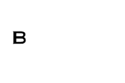 Burlington Medical's homepage features a "Burlington Medical" text alongside a shield emblem with the letter 'B' on the left side, ensuring SEO optimization and relevant keywords for enhanced visibility.