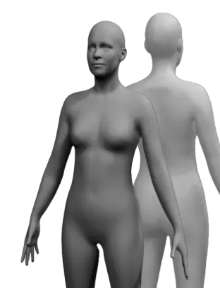 Digital rendering of a realistic, featureless, nude human figure, shown from the front and back, without hair or distinct facial features. Ideal for various use cases including anatomical studies and digital art projects.