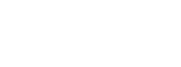 White text on a pale background reads "Warrior Consultants, LLC".