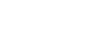 White text on a light gray background reads "Warrior Consultants, LLC." The bold, sans-serif font makes the words prominent despite the low contrast, reflecting their innovative approach to Digital Health Programs and Telehealth solutions.