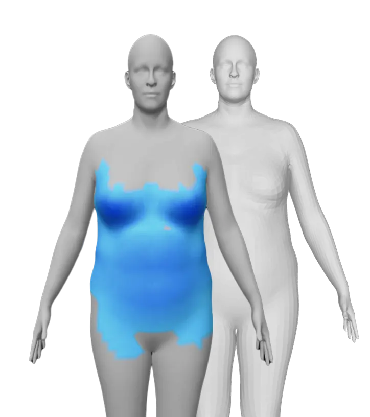 Two gender-neutral human body models; the front figure has blue shading highlighting the chest, abdomen, and upper arms to illustrate structured body data, while the back figure is unshaded.